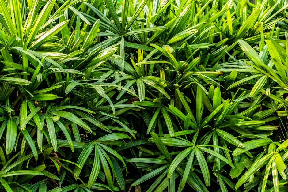 Garden at GODREJ ELARIS, Magarpatta-Mundhwa, Pune