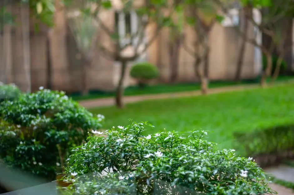 Garden at GODREJ PLOTS NELAMANGALA, Nelamangala, Bangalore