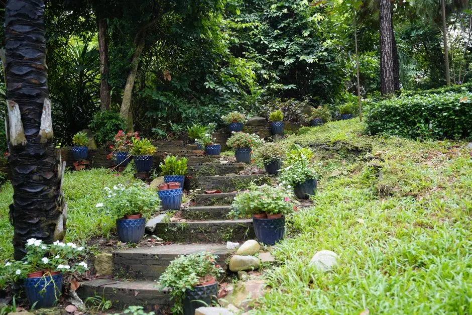 Garden at GODREJ THE GREENFRONT AT GODREJ PARK WORLD, Hinjewadi Phase 1, Pune
