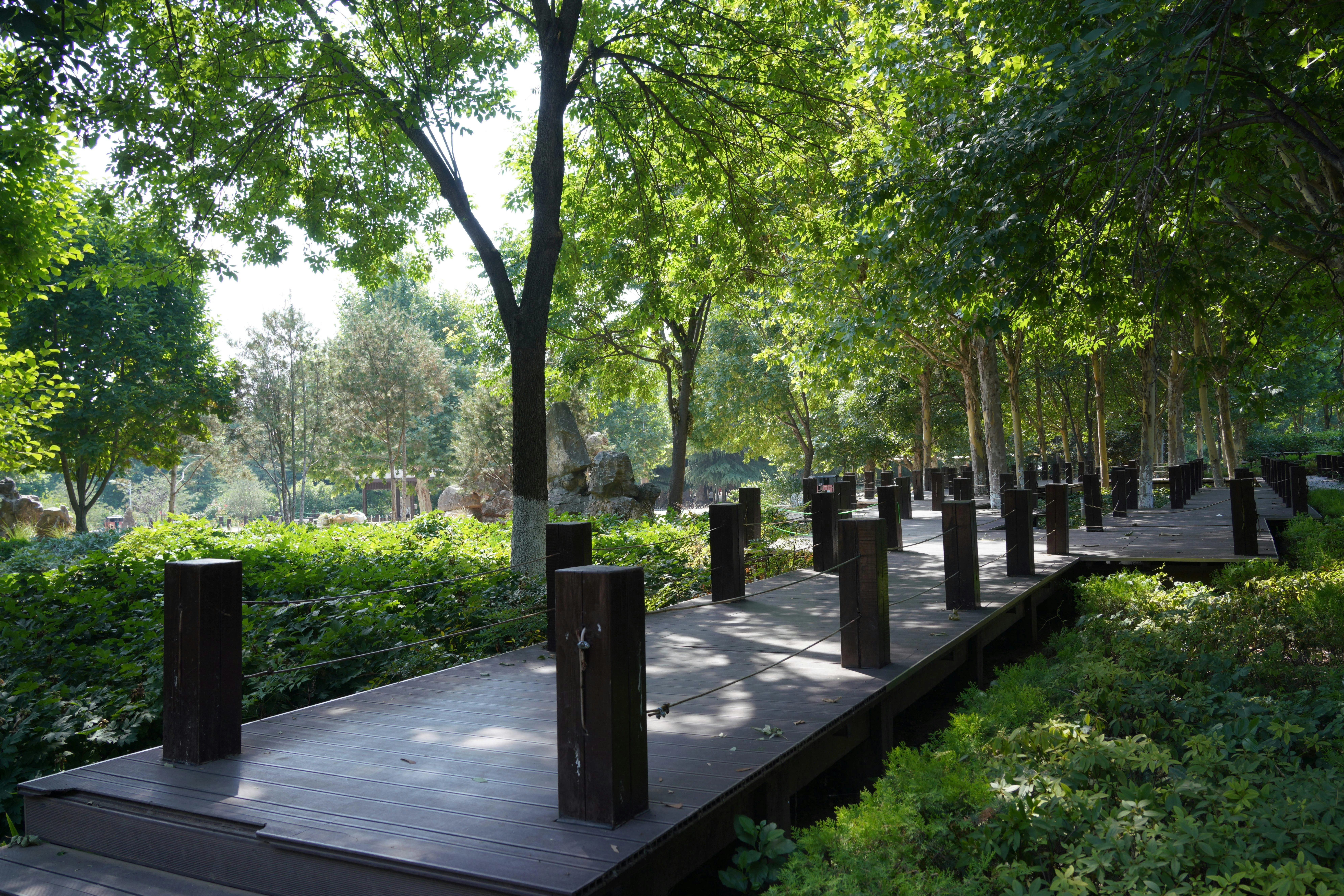 Garden at GODREJ NEOPOLIS, Kokapet, Hyderabad