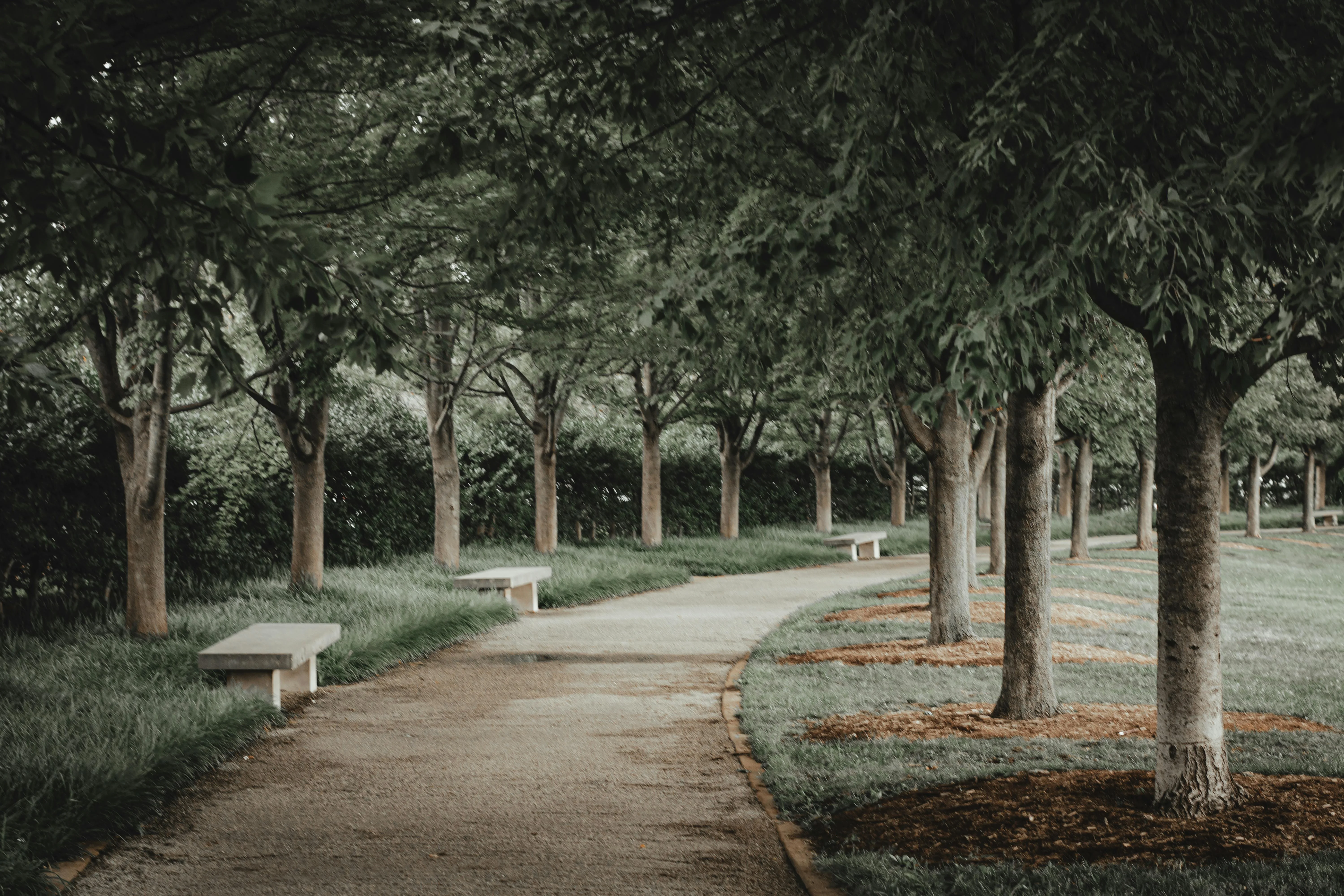 Garden at GODREJ HABITAT, Sector 3, Gurgaon