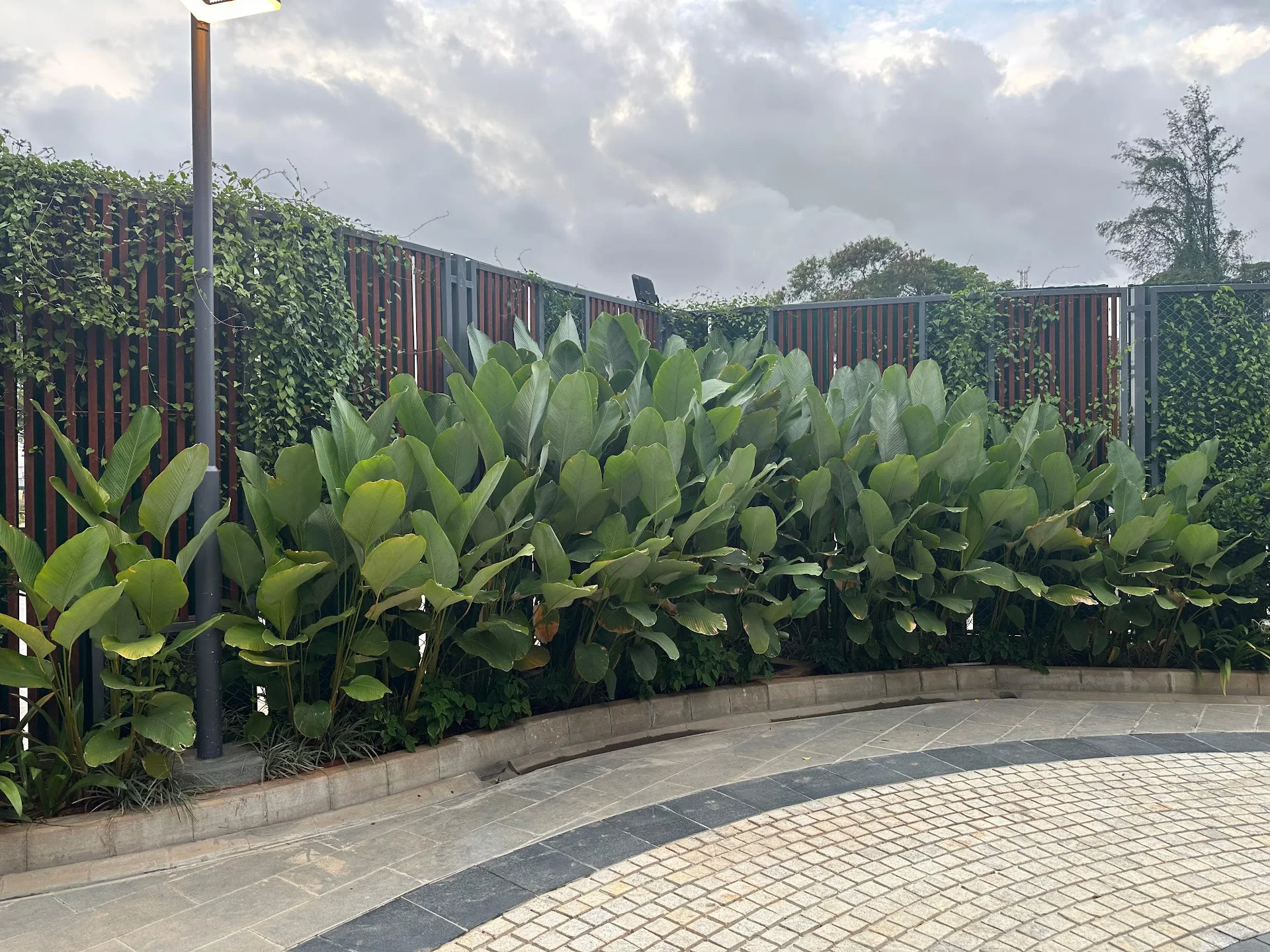 GODREJ TIARA, Yeshwanthpur, Bangalore — Photo 5