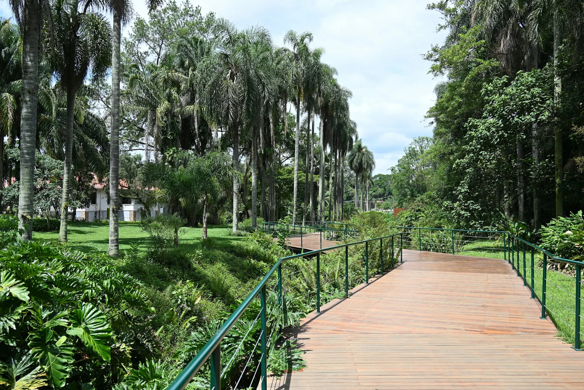 Garden at GODREJ HILLSIDE 3, Mahalunge, Pune