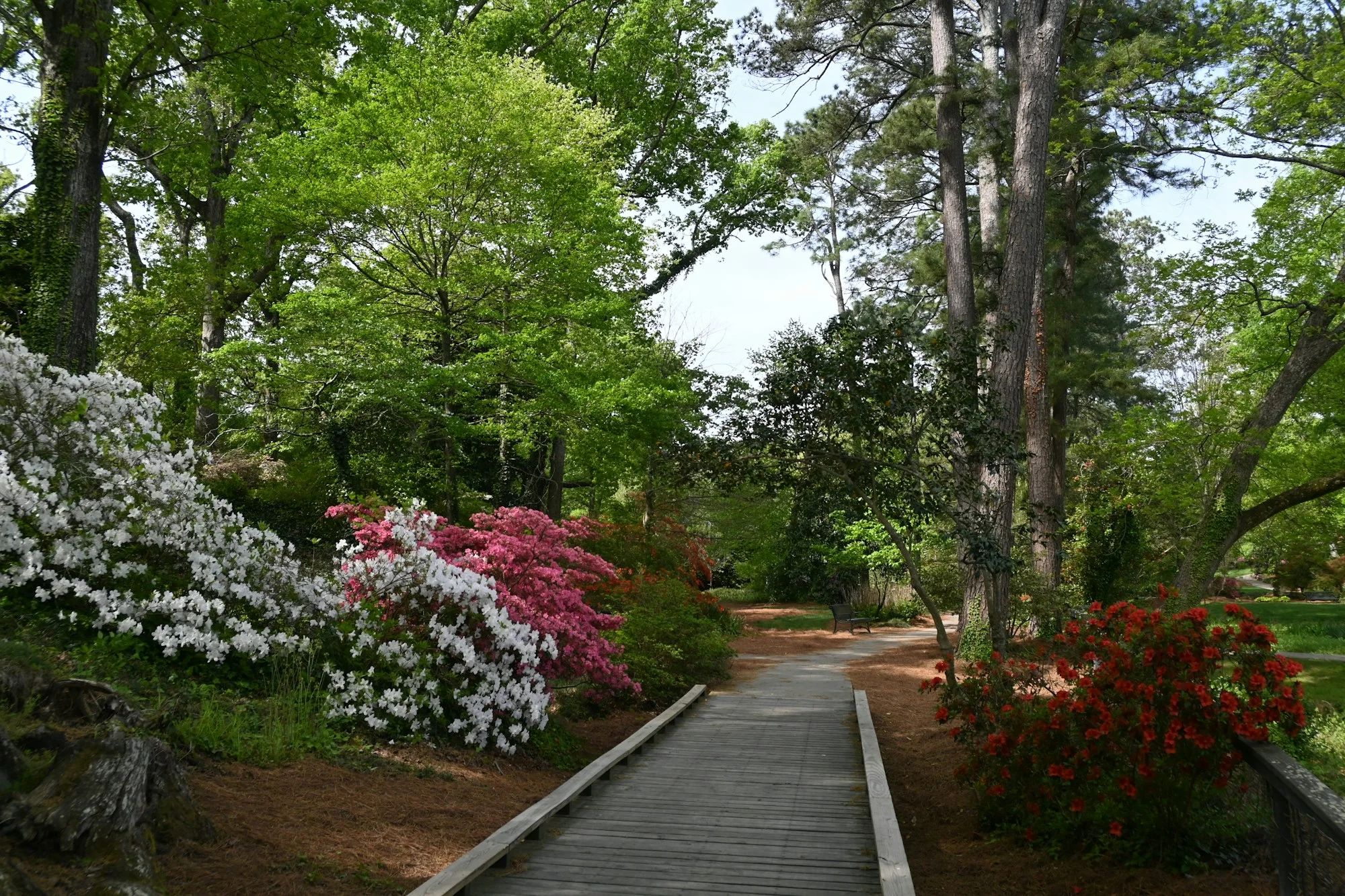 Garden at GODREJ CARMICHAEL, Cumbala Hill, Mumbai